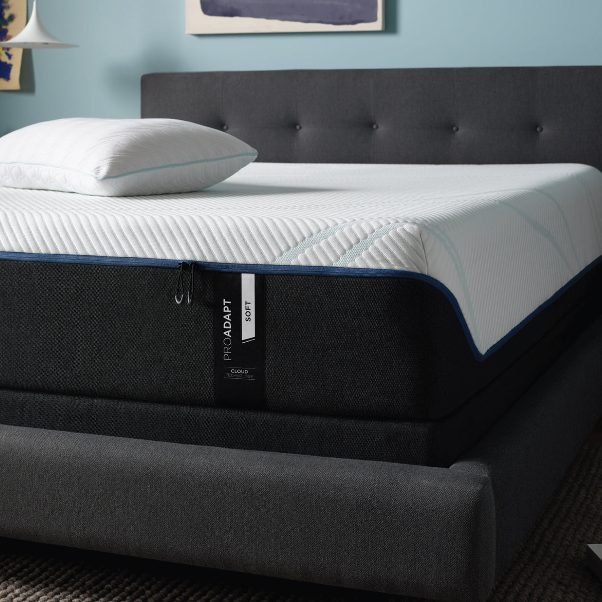 12 TEMPUR ProAdapt Soft Bedding Mart