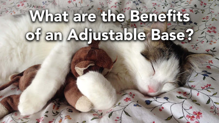 What are the Benefits of an Adjustable Base?