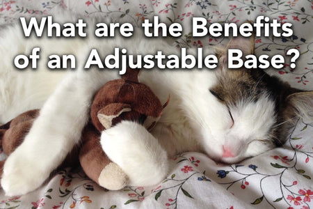 What are the Benefits of an Adjustable Base?