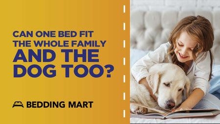 Can One Bed Fit the Whole Family (and the Dog Too)?