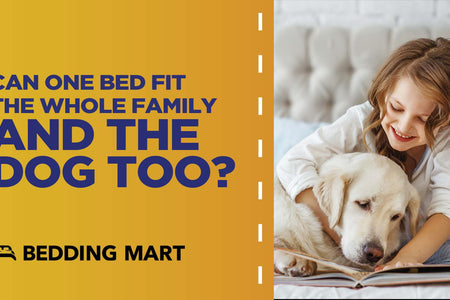 Can One Bed Fit the Whole Family (and the Dog Too)?