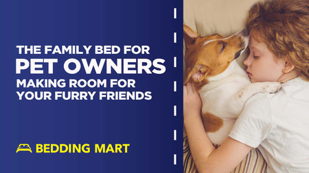 The Family Bed for Pet Owners: Making Room for Your Furry Friends