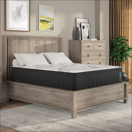 Taylor & Wells® 14" Gentry Euro Top Mattress