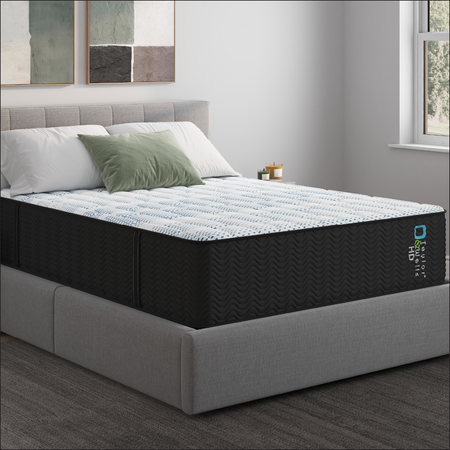 Taylor & Wells® 13" HD Extra Firm Mattress