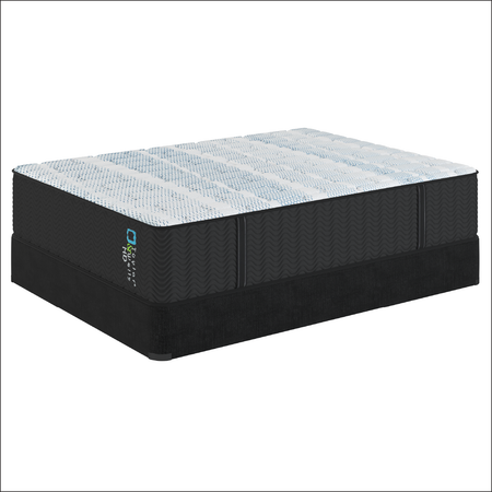 Taylor & Wells® 13" HD Extra Firm Mattress