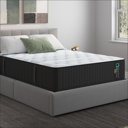 Taylor & Wells® 13" HD Plush Mattress