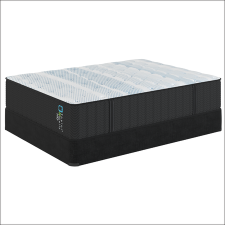 Taylor & Wells® 13" HD Plush Mattress