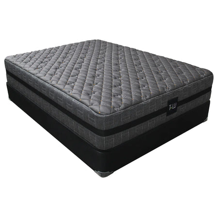 Posturepedic ellington queen plush store pillow top mattress