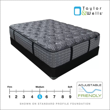 Taylor & Wells® 14.5" Baltic Breeze Plush Mattress